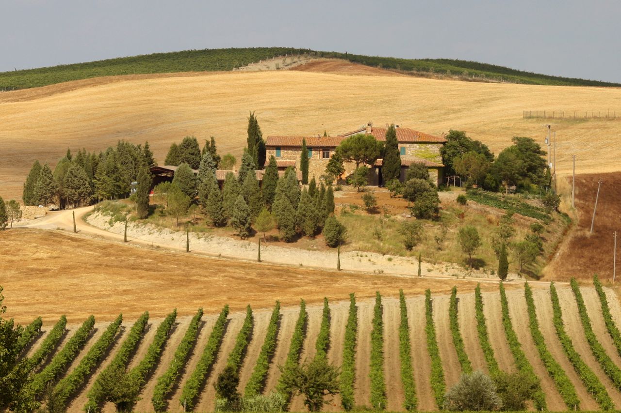 Chianti wine tours, Tuscany vineyard tours, luxury Chianti hotels, Castello di Casole, Chianti wine tasting experience, Tuscany wine region tours