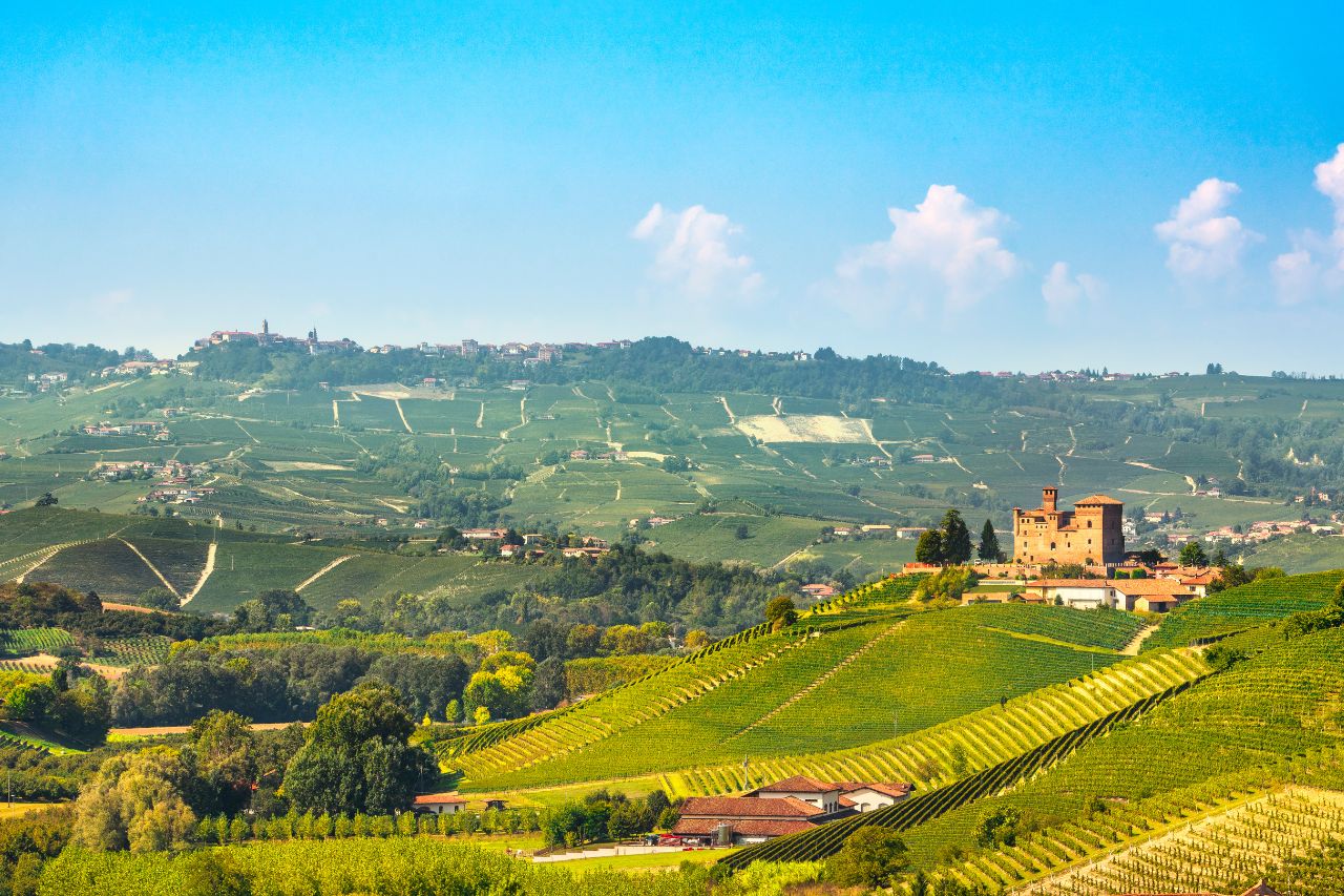 Langhe wine tours, Barolo wine tasting Italy, white truffle hunting Piedmont, Langhe Region luxury tours, Casa di Langa hotel, Barbaresco wine tours